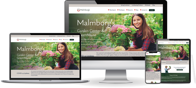 smartphone, tablet, laptop and desktop displaying Malmborg's website homepage
