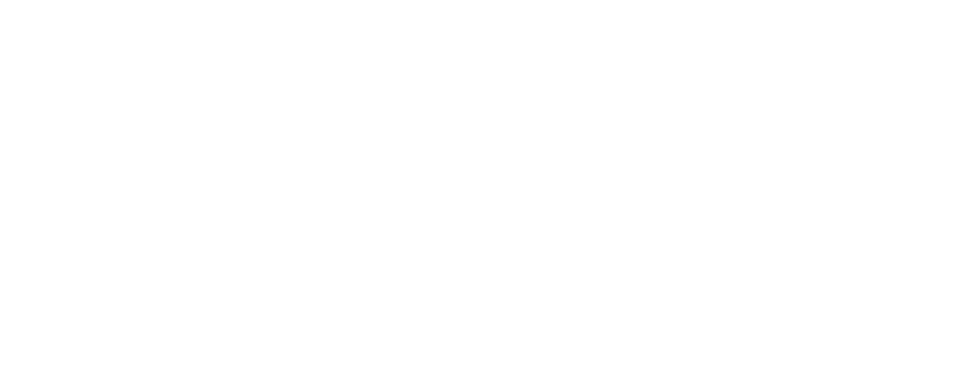 Big Brother Logo